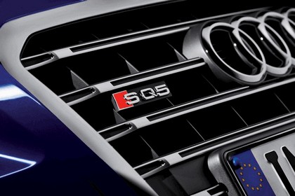 2013 Audi SQ5 TDI 11