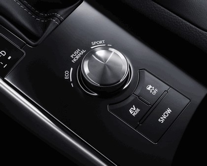 2013 Lexus IS 300h 25