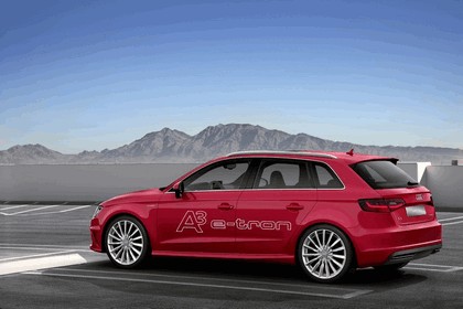 2013 Audi A3 e-tron 6