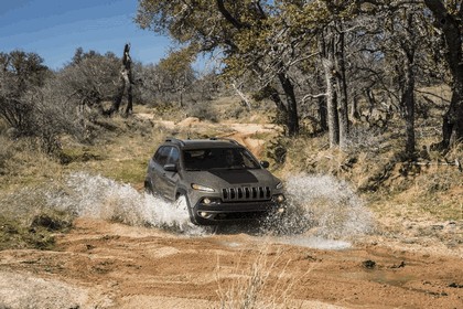 2014 Jeep Cherokee Trailhawk 38