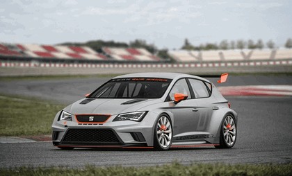 2013 Seat Leon Cup Racer 5