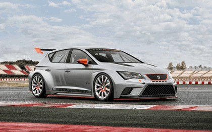 2013 Seat Leon Cup Racer 7