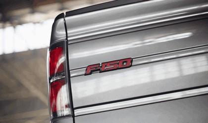 2013 Ford F-150 Tremor 31