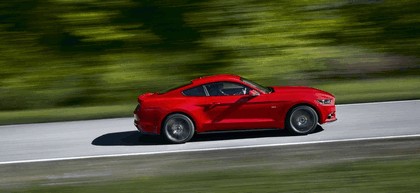 2014 Ford Mustang 13