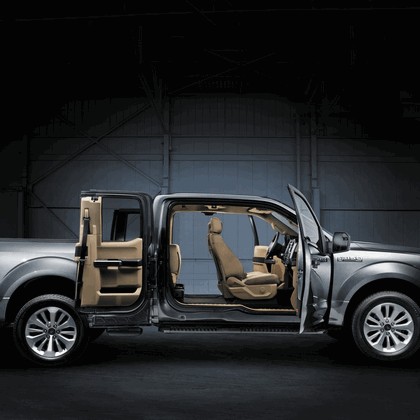 2014 Ford F-150 19