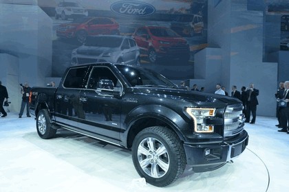 2014 Ford F-150 28