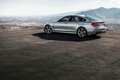 2014 BMW 4er ( F36 ) Gran Coupé with M Sport Package 24