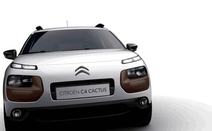 2014 Citroën C4 Cactus 6