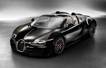 2014 Bugatti Veyron 16.4 Black Bess 4