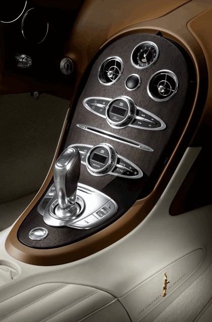 2014 Bugatti Veyron 16.4 Black Bess 17