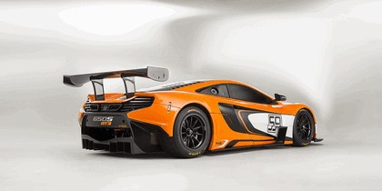 2014 McLaren 650S GT3 3