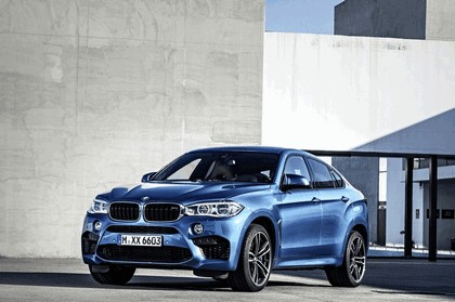2015 BMW X6 M 7