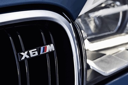 2015 BMW X6 M 22