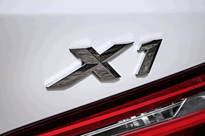 2015 BMW X1 ( F48 ) xDrive20d 37