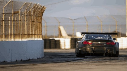 2016 BMW M6 GTLM - Sebring test session - oct 2015 3
