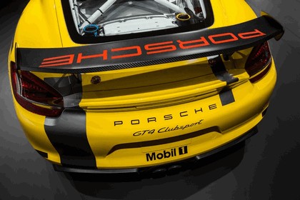 2015 Porsche Cayman GT4 Clubsport 3