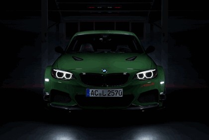 2016 AC Schnitzer ACL2 7
