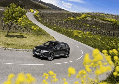 2017 Audi SQ7 TDI 31