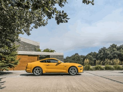 2018 Ford Mustang 5.0 GT 9