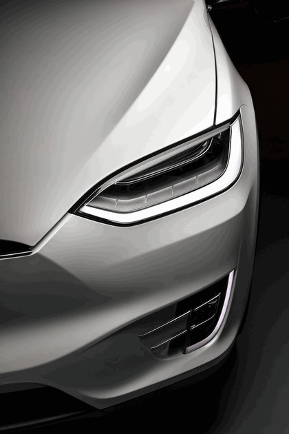 2017 Tesla Model X 7