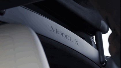 2017 Tesla Model X 32
