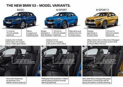 2018 BMW X2 xDrive20d M Sport X - UK version 15