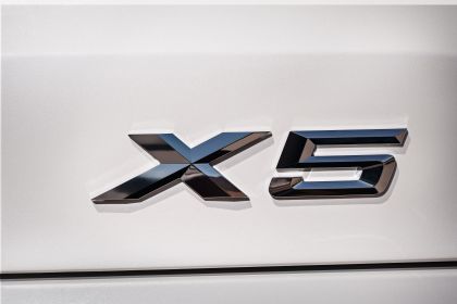 2019 BMW X5 ( G05 ) xDrive 30d 33