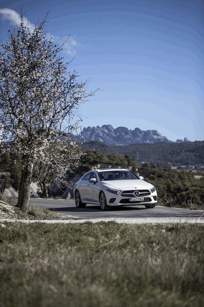 2018 Mercedes-Benz CLS 350d 4Matic 4