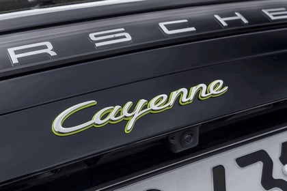 2019 Porsche Cayenne E-hybrid 131
