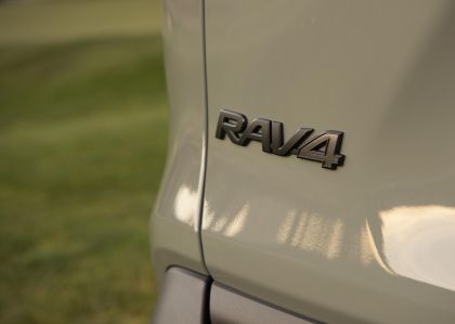 2019 Toyota RAV4 Adventure - Lunar rock 56