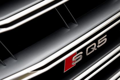 2019 Audi SQ5 TDI 66