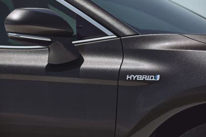 2019 Toyota Camry Hybrid 83