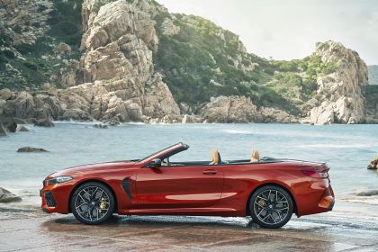 2019 BMW M8 ( F92 ) Competition convertible 15
