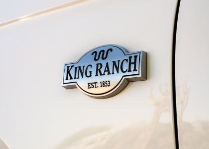 2020 Ford Expedition King Ranch edition 11