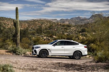 2020 BMW X6 ( F96 ) M Competition  134