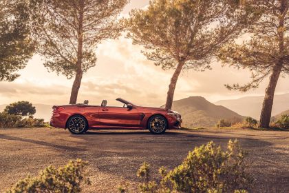 2020 BMW M8 ( F92 ) Competition convertible 12