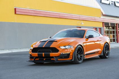 2020 Ford Mustang Carroll Shelby Signature Series 15