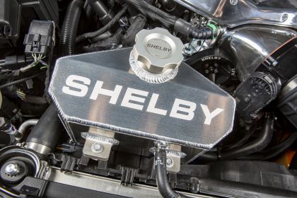 2020 Ford Mustang Carroll Shelby Signature Series 24