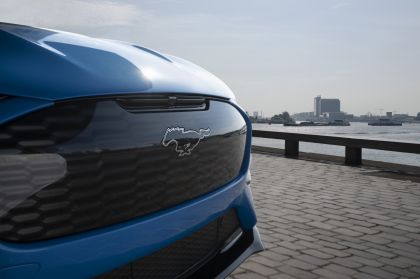 2021 Ford Mustang Mach-E GT 6