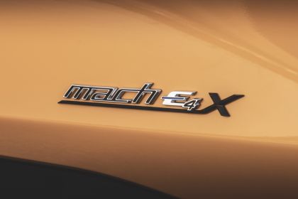 2021 Ford Mustang Mach-E GT 55
