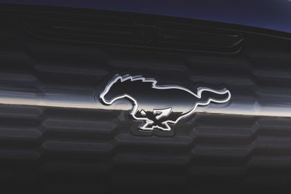 2021 Ford Mustang Mach-E GT 102