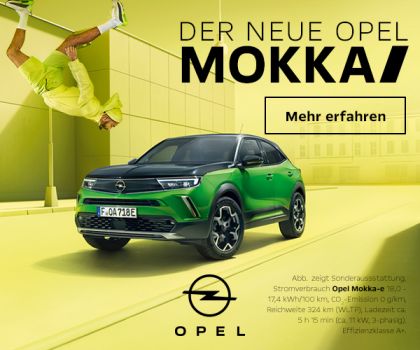 2021 Opel Mokka-e 171