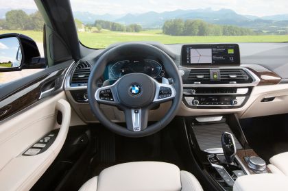2021 BMW X3 ( G01 ) xDrive30e 28