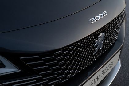 2021 Peugeot 3008 GT 17