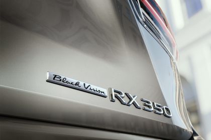 2021 Lexus RX Sport Edition 8