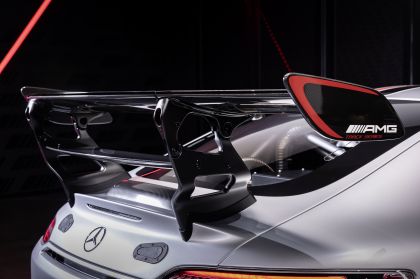 2022 Mercedes-AMG GT Track Series 11