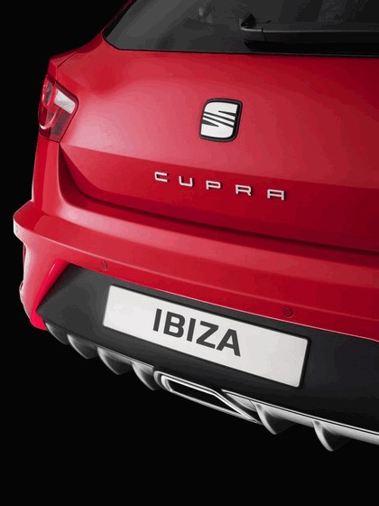 2008 Seat Ibiza CupRa 25