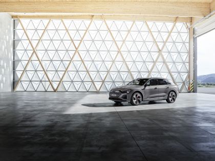 2024 Audi Q8 e-tron quattro 13