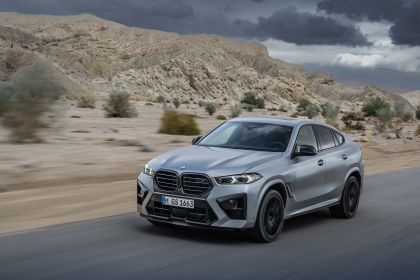 2024 BMW X6 ( F96 ) M Competition 15
