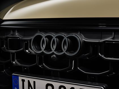 2024 Audi Q8 TFSI 9